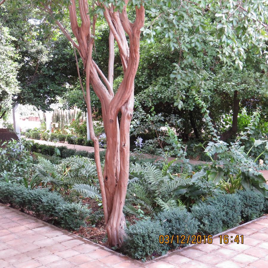 Hotel Boutique Quinta Maria Santa Cruz Luaran gambar