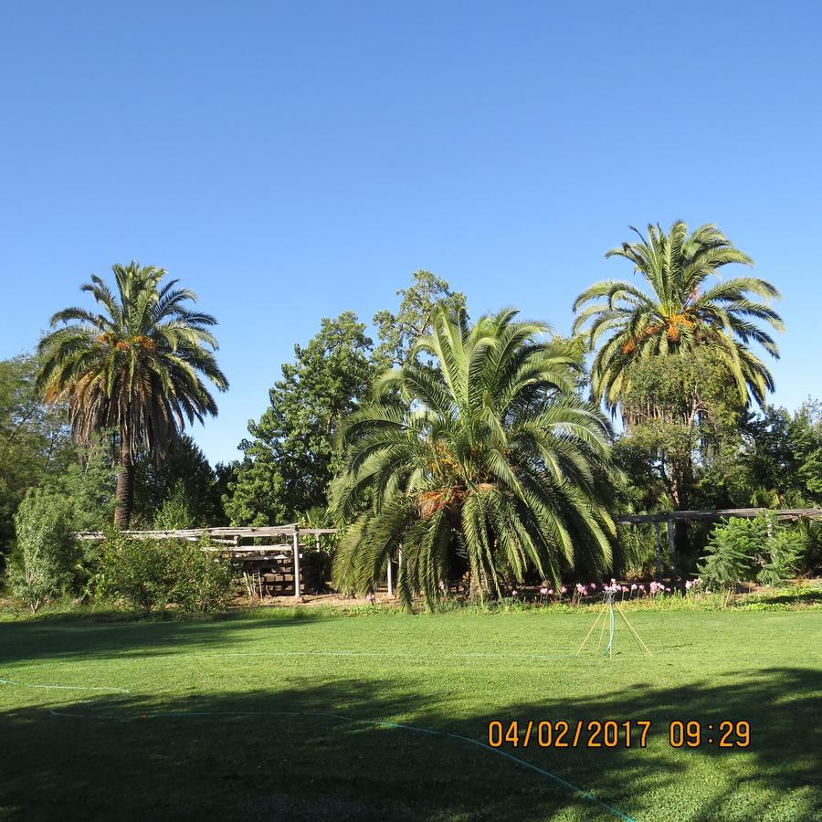 Hotel Boutique Quinta Maria Santa Cruz Luaran gambar