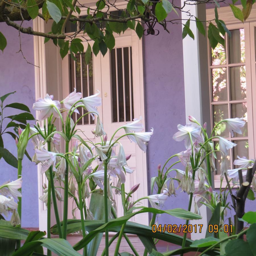 Hotel Boutique Quinta Maria Santa Cruz Luaran gambar