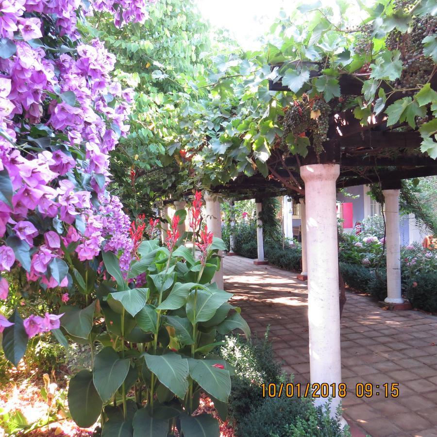 Hotel Boutique Quinta Maria Santa Cruz Luaran gambar