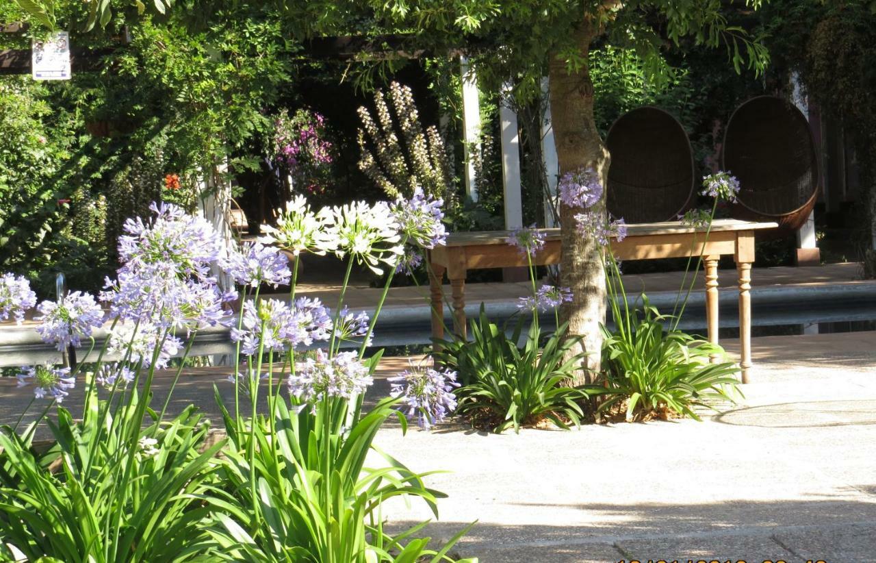 Hotel Boutique Quinta Maria Santa Cruz Luaran gambar