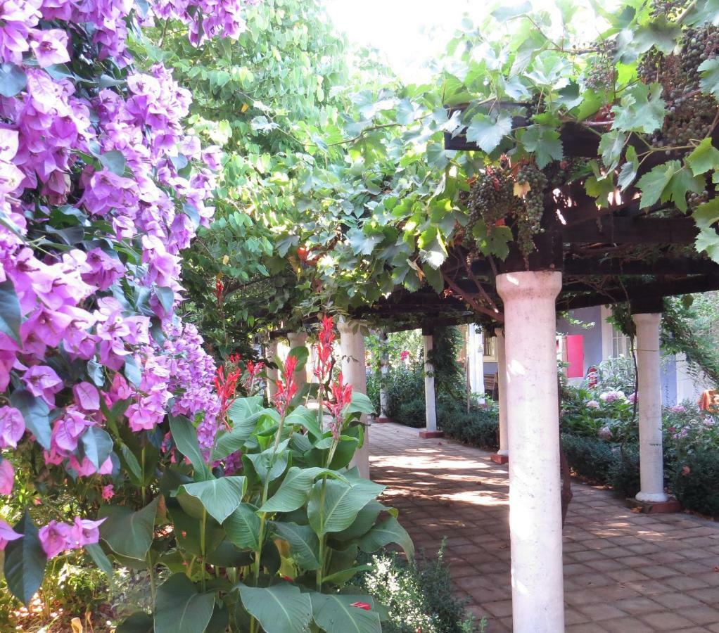 Hotel Boutique Quinta Maria Santa Cruz Luaran gambar