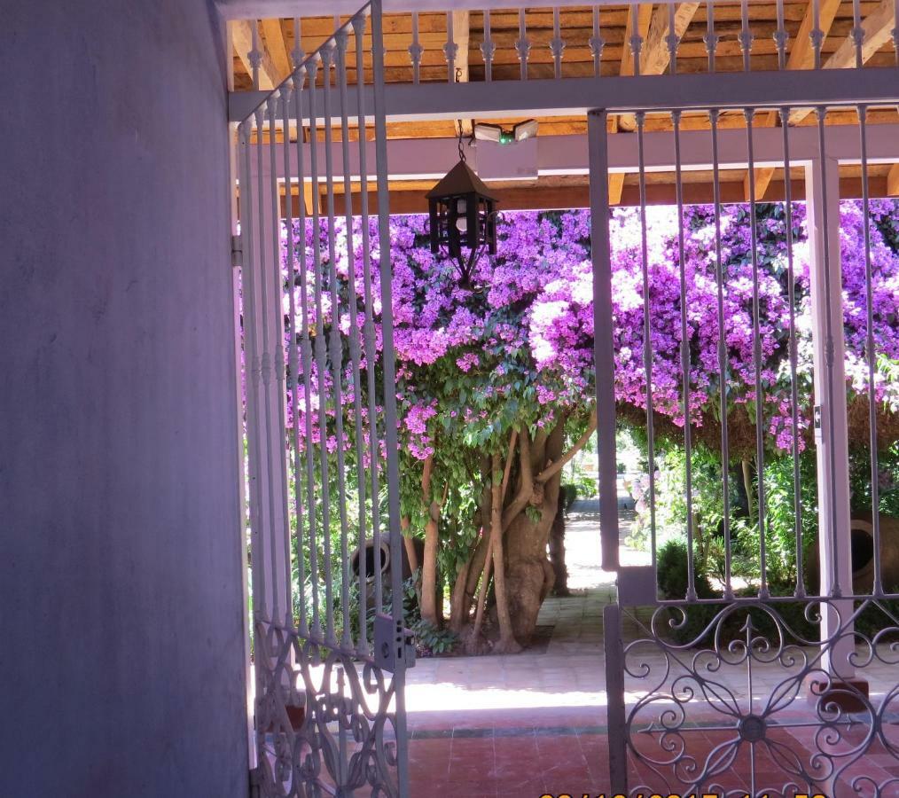 Hotel Boutique Quinta Maria Santa Cruz Luaran gambar